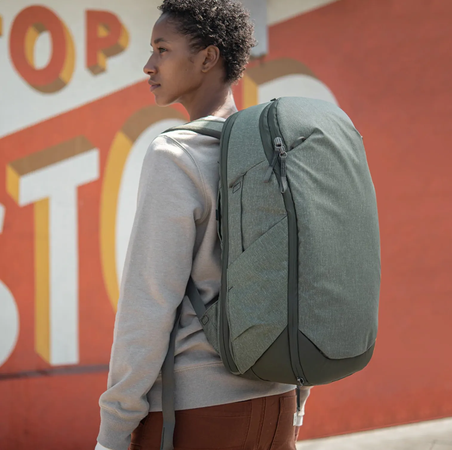 Peak Design Travel Backpack 30L