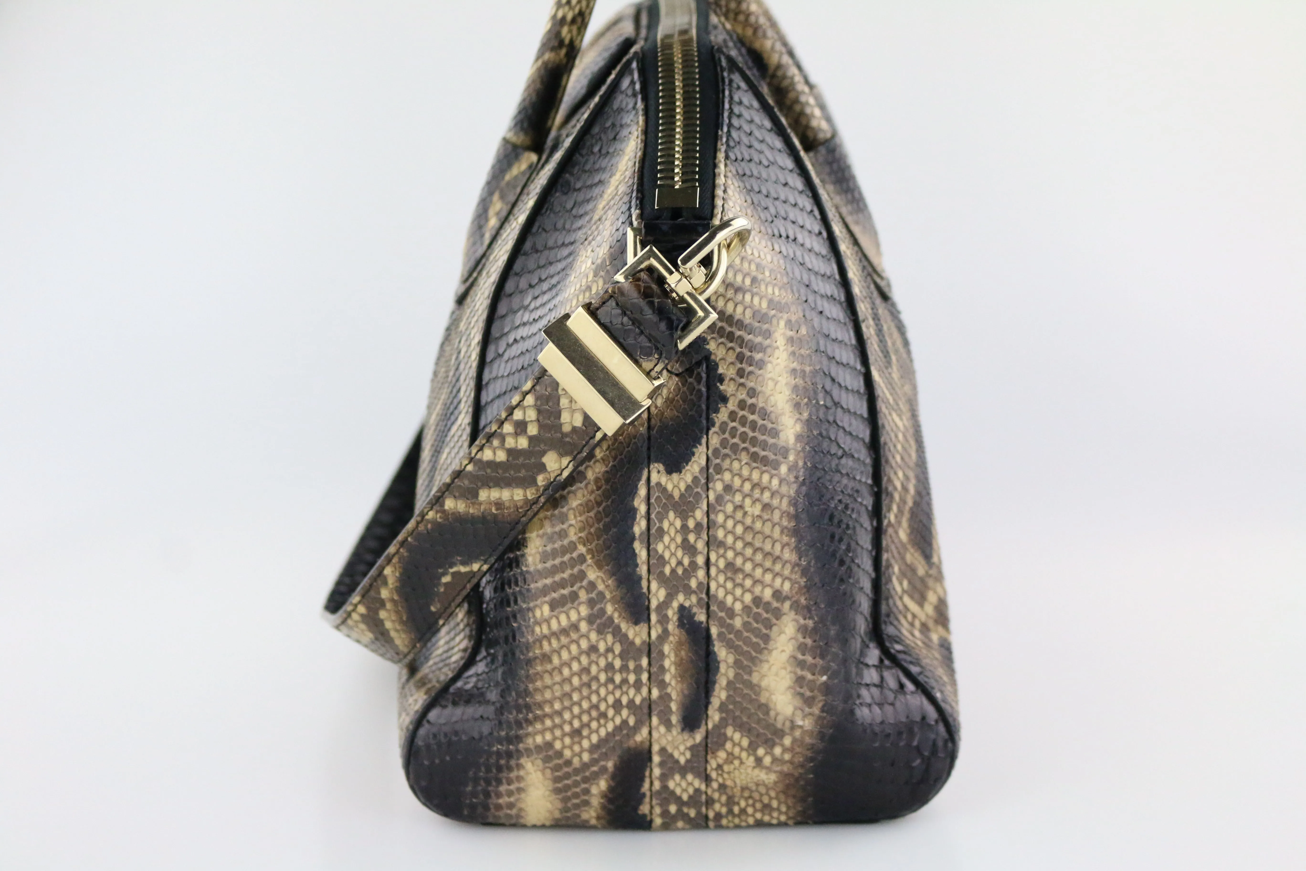 Python Medium Antigona