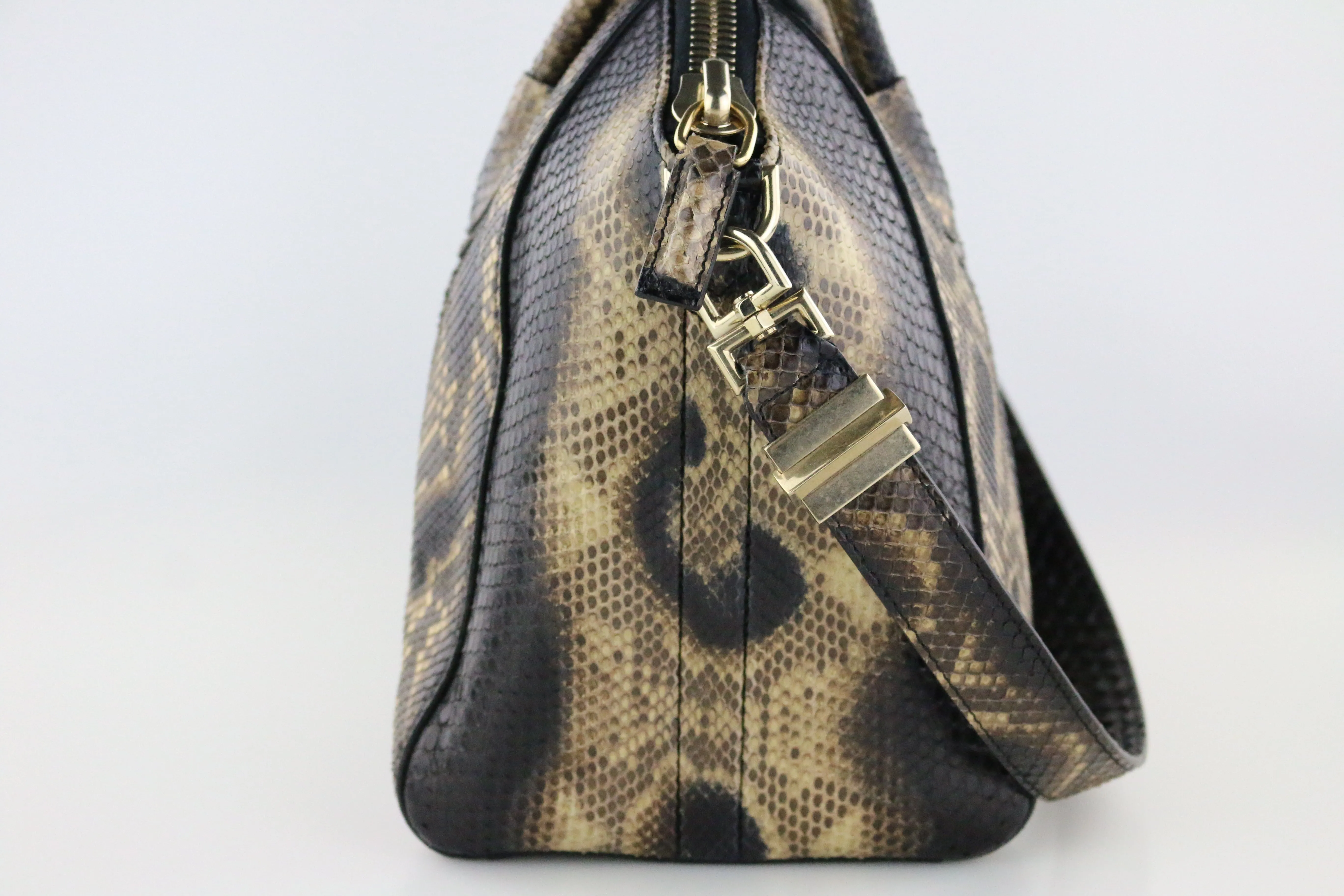 Python Medium Antigona