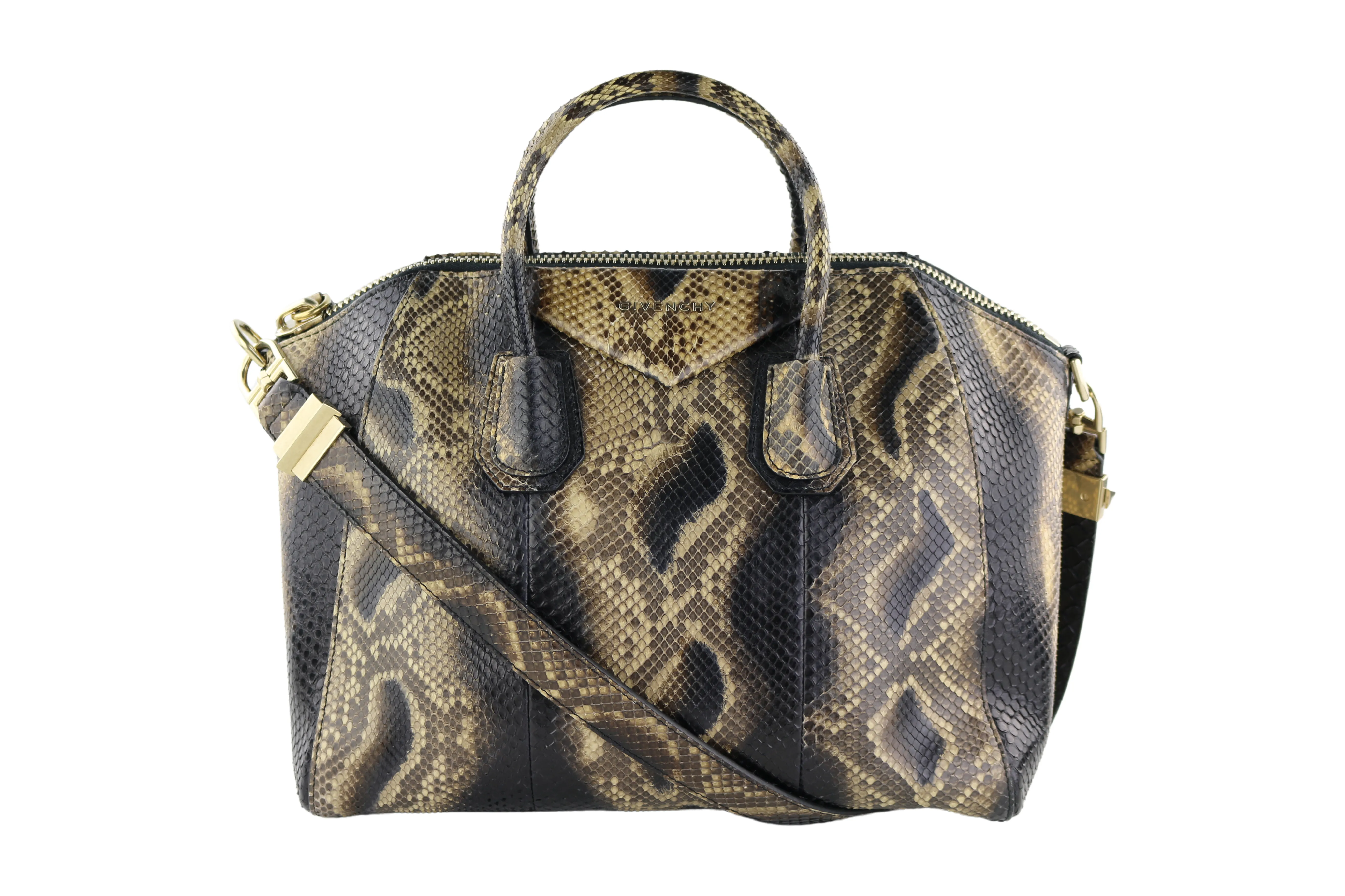 Python Medium Antigona