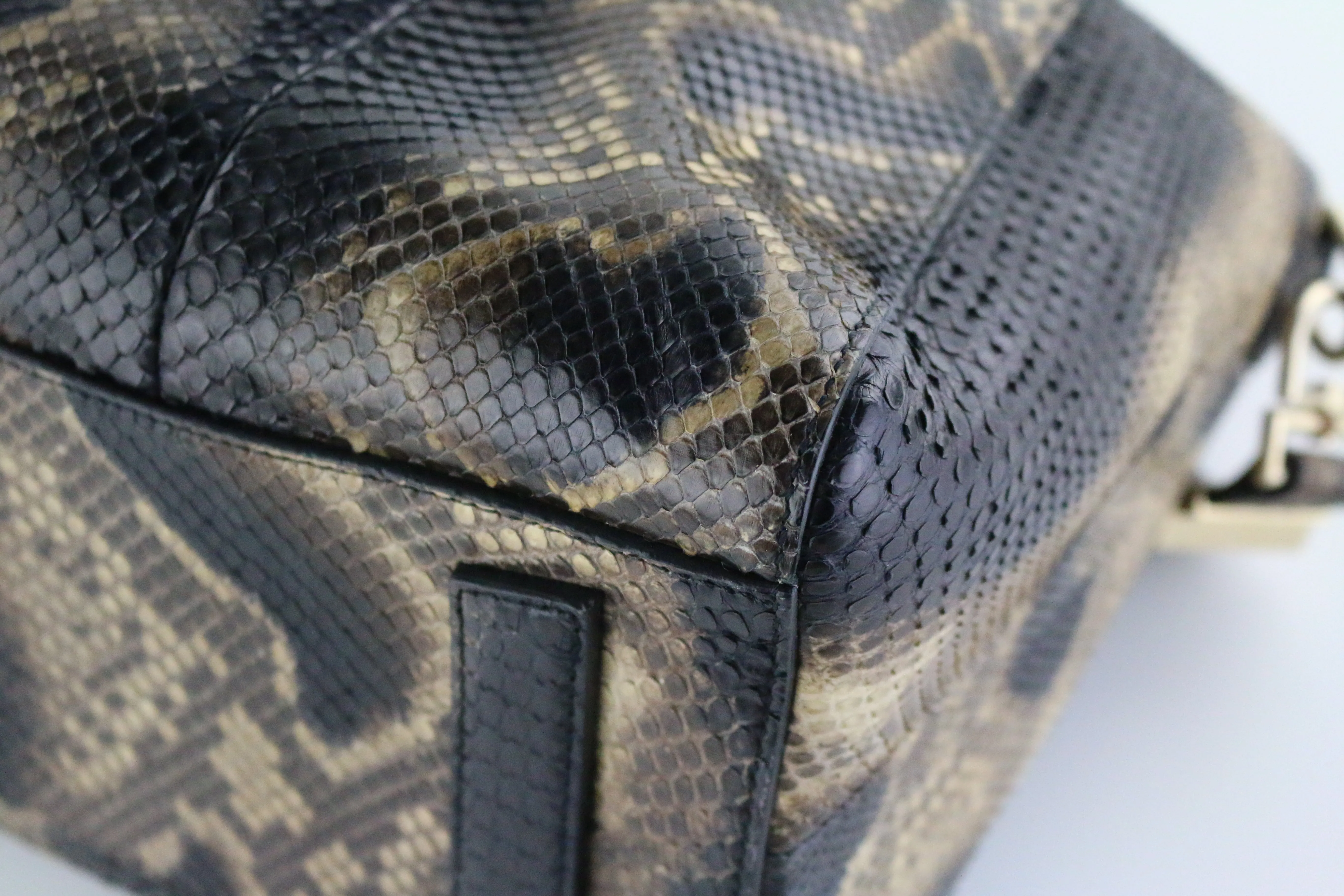 Python Medium Antigona