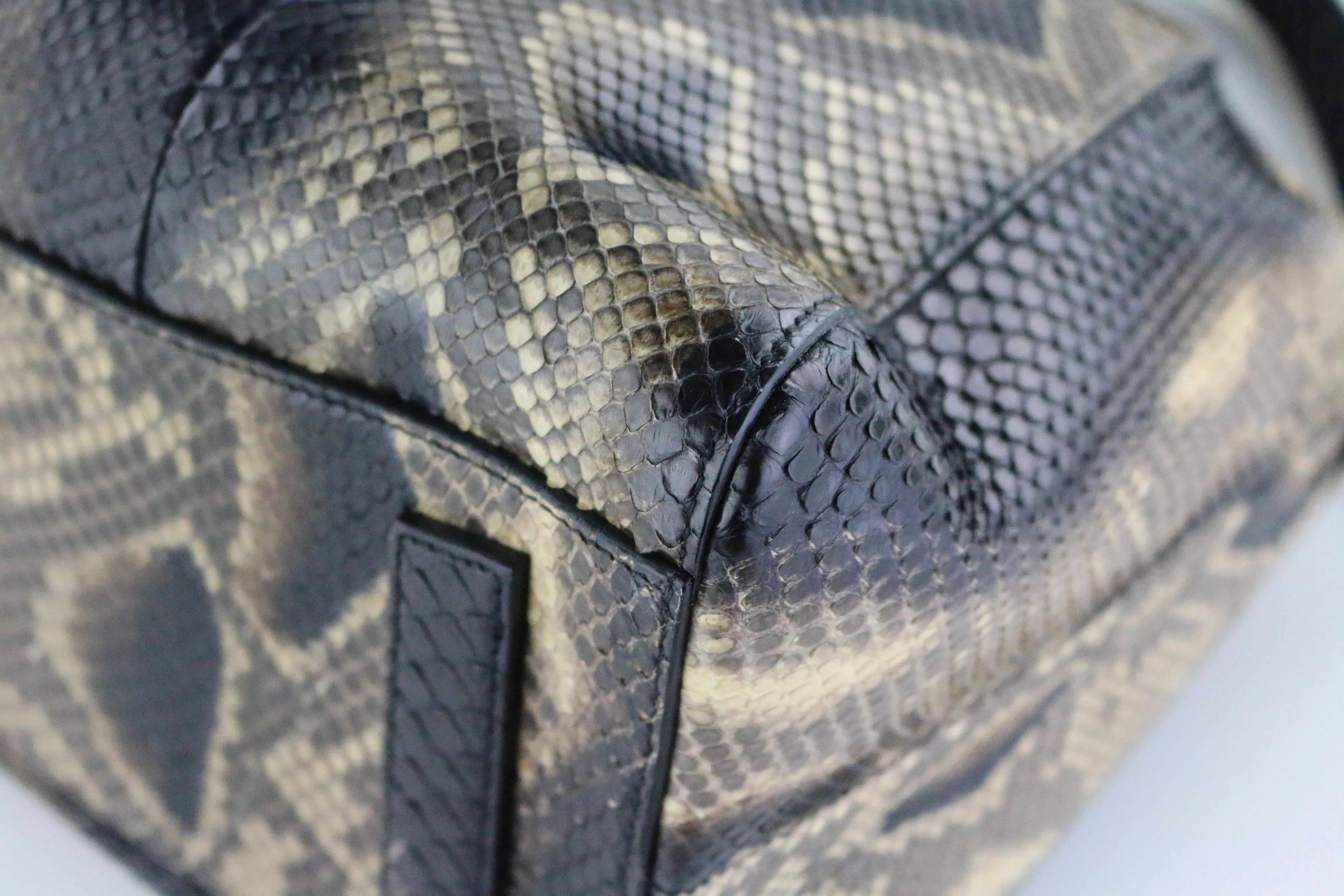 Python Medium Antigona