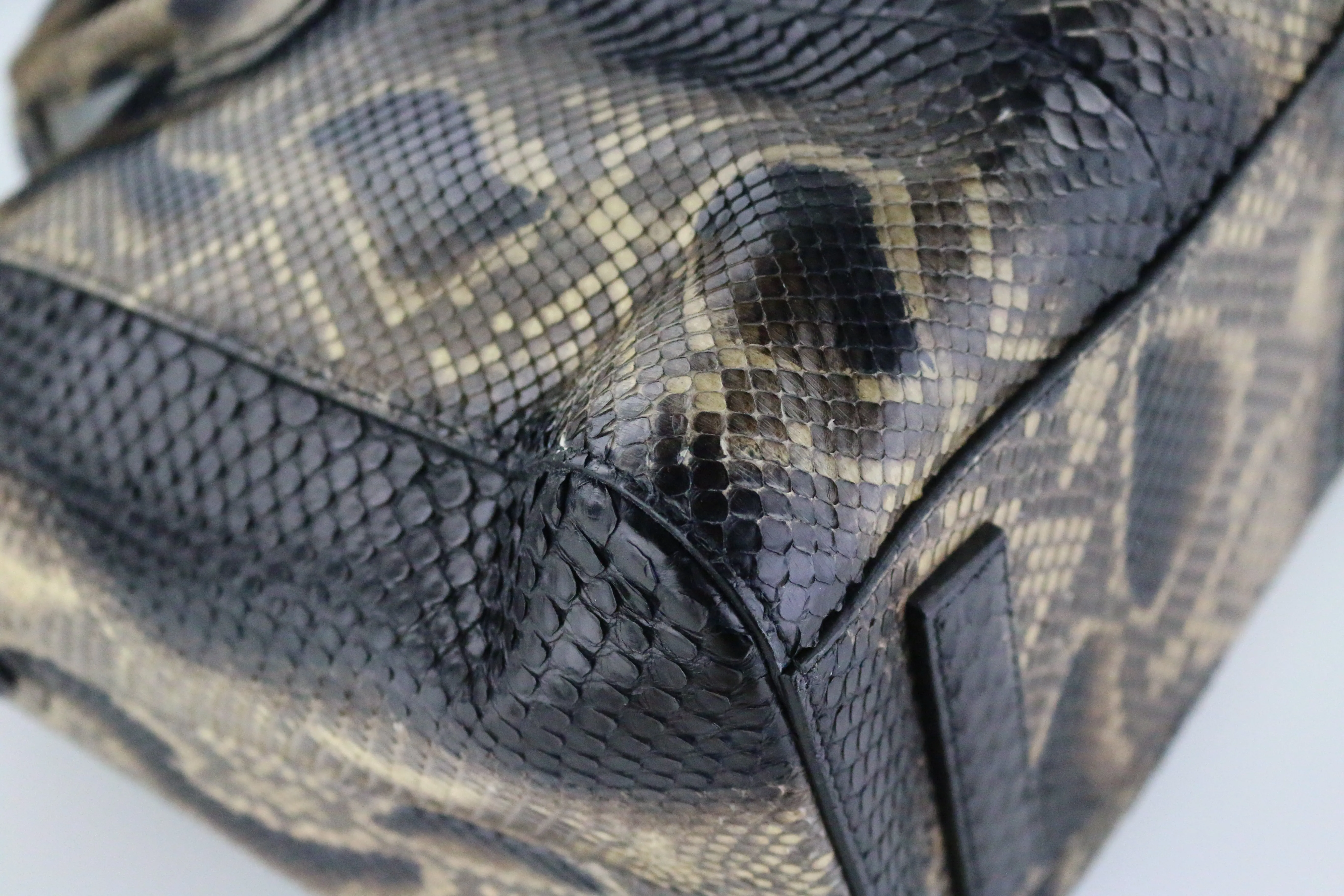 Python Medium Antigona