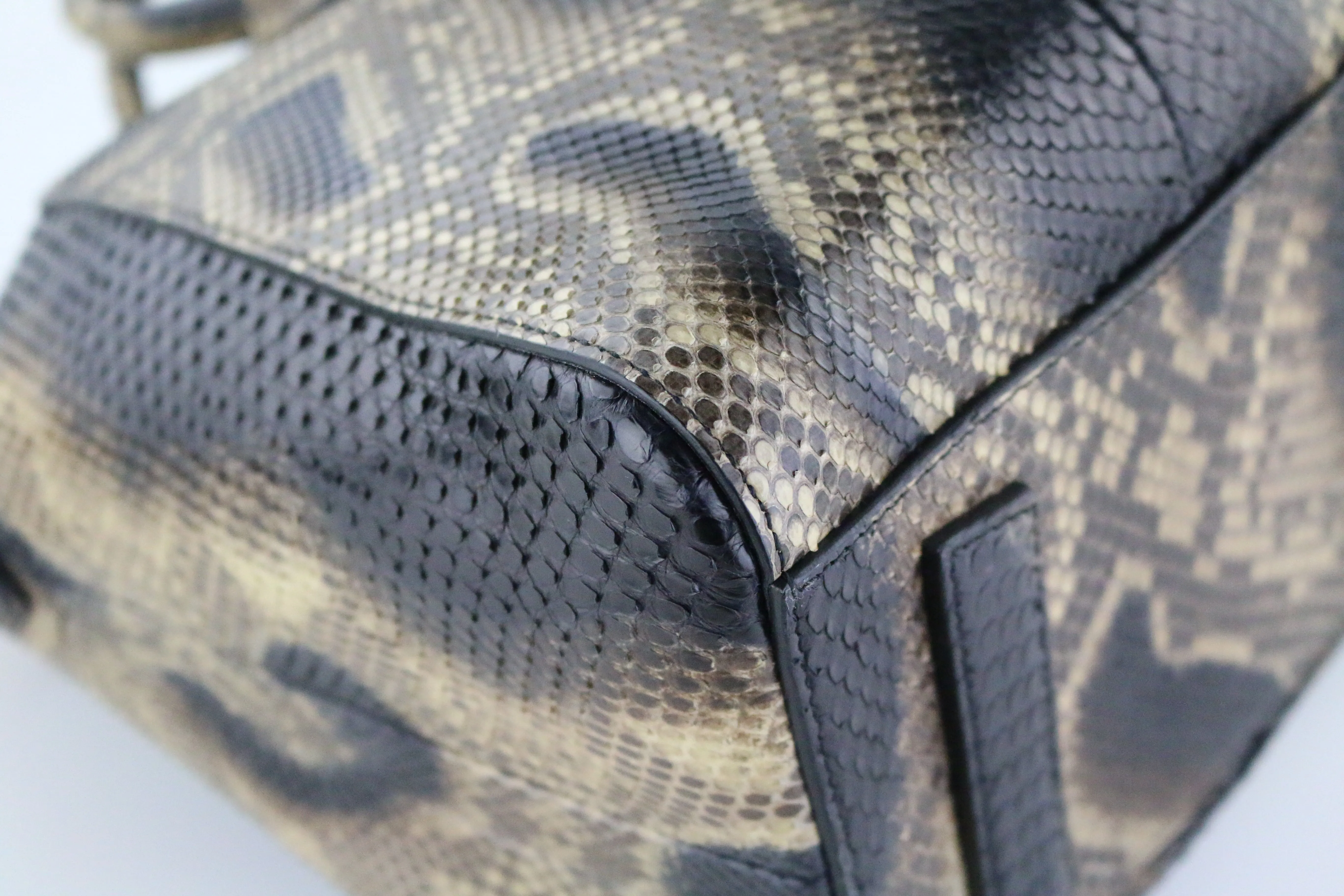 Python Medium Antigona